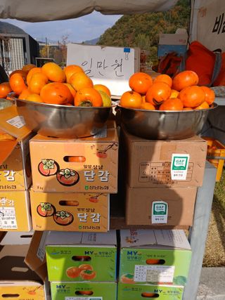 최영묵님의 작성글 사진