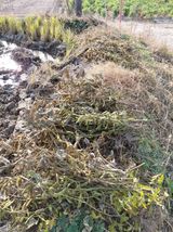 팜모닝 자유주제·자유게시판 게시글 이미지