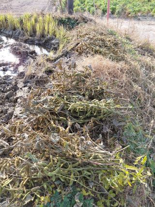 좋은인연원님의 자유주제 · 자유게시판 작성글 사진