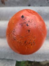 팜모닝 · 게시글 이미지