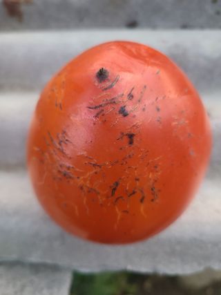 김계희님의 작성글 사진