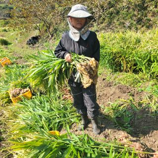 김선순(공룡자색마)님의 작성글 사진