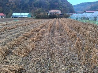 강원도 횡성군님의 자유주제 · 자유게시판 작성글 사진