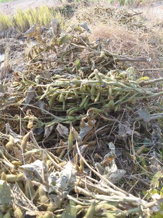 좋은인연원님의 자유주제 · 자유게시판 작성글 사진