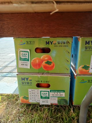 최영묵님의 작성글 사진