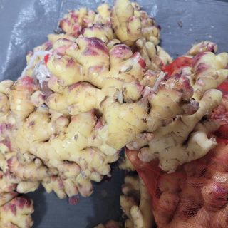 김선순(공룡자색마)님의 작성글 사진