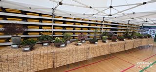 달맛햇복숭아농원님의 자유주제 · 사진전 작성글 사진