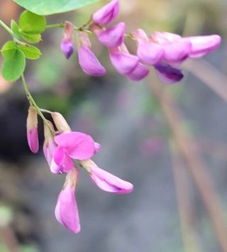 안길원님의 자유주제 · 자유게시판 작성글 사진