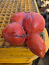 팜모닝 자유주제·자유게시판 게시글 이미지