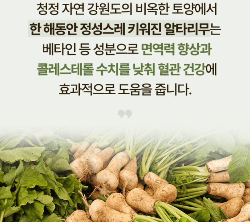 스피드번님의 장터 판매 상품 [강원도 알타리 무] 첨부 사진