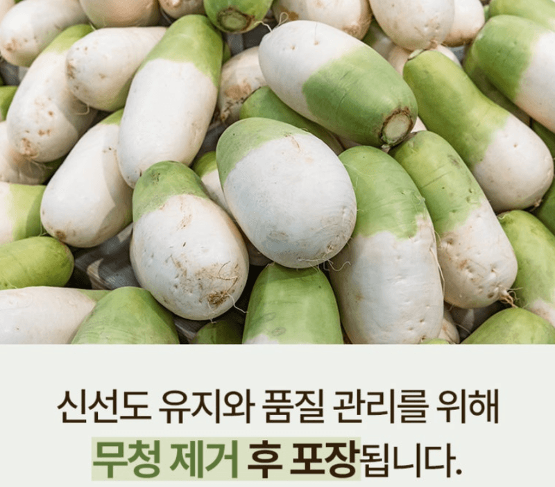 스피드번님의 장터 판매 상품 [강원도 고랭지 무] 첨부 사진