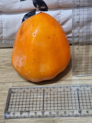 정석범님의 작성글 사진