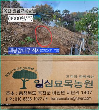 장영수님의 작성글 사진