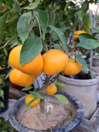 MSG0074님의 자유주제 · 자유게시판 작성글 사진