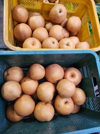 약도라지6018님의 작성글 사진