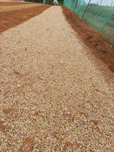 팜모닝 자유주제·자유게시판 게시글 이미지