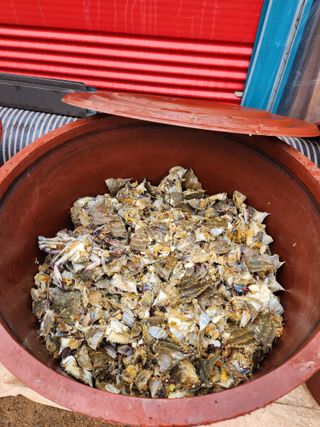 임용관님의 자유주제 · 자유게시판 작성글 사진