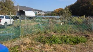 정인재님의 자유주제 · 자유게시판 작성글 사진