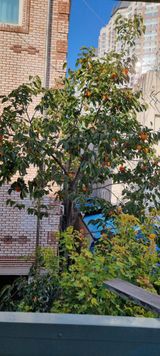 팜모닝 자유주제·자유게시판 게시글 이미지