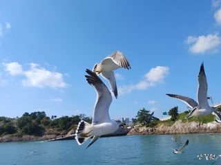 안길원님의 자유주제 · 자유게시판 작성글 사진