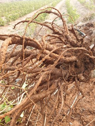 오아성님의 작성글 사진