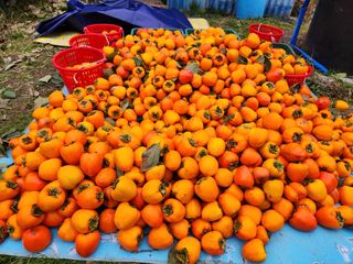 김육환님의 작성글 사진