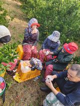 팜모닝 자유주제·자유게시판 게시글 이미지