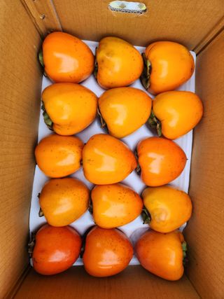 김육환님의 작성글 사진