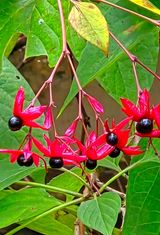 팜모닝 자유주제·자유게시판 게시글 이미지