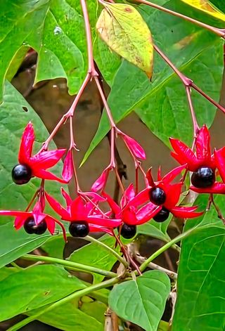 안길원님의 자유주제 · 자유게시판 작성글 사진