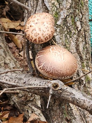 오동균님의 자유주제 · 자유게시판 작성글 사진