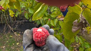 _고성농장님의 자유주제 · 자유게시판 작성글 사진