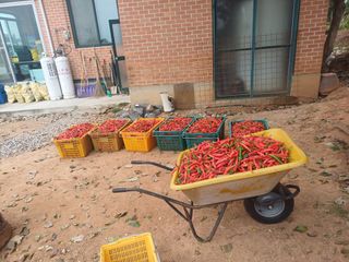 홍순오님의 자유주제 · 자유게시판 작성글 사진