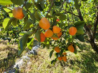 김육환님의 작성글 사진