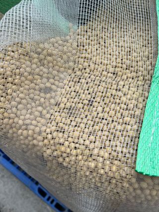 김재우님의 작성글 사진