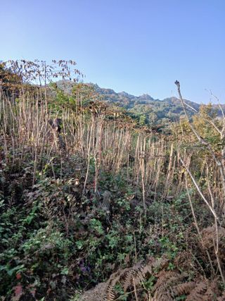 무료지식나눔 팜닥터님의 자유주제 · 자유게시판 작성글 사진