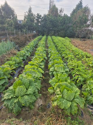 찬균park님의 자유주제 · 자유게시판 작성글 사진