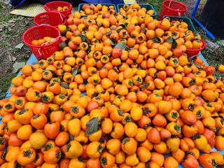 김육환님의 작성글 사진