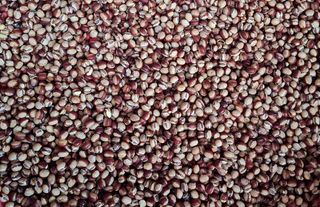 김중언님의 작성글 사진