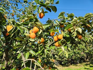 김육환님의 작성글 사진