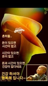 팜모닝 자유주제·자유게시판 게시글 이미지