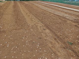 박린님의 자유주제 · 자유게시판 작성글 사진