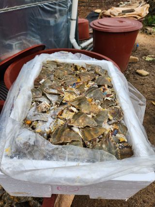 임용관님의 자유주제 · 자유게시판 작성글 사진