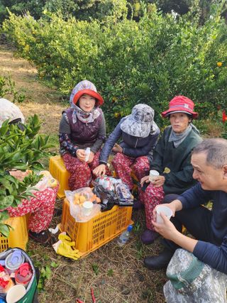 제주부자팜님의 자유주제 · 자유게시판 작성글 사진