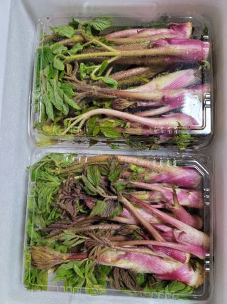 오아성님의 작성글 사진