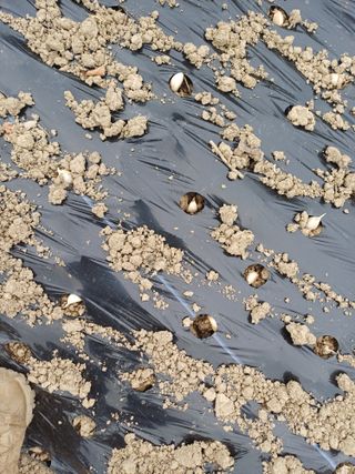 채기섭님의 작성글 사진