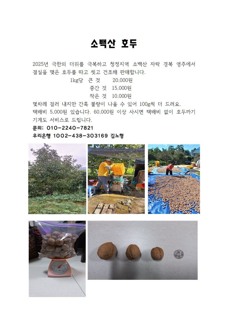 장터 상품 [호두 1kg] 썸네일