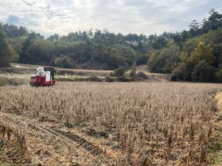 김재우님의 작성글 사진