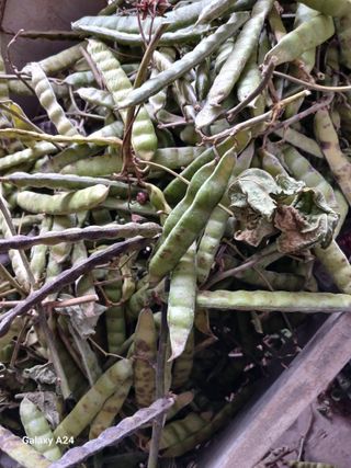 강성흔목사 님의 자유주제 · 자유게시판 작성글 사진