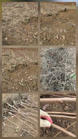 팜모닝 자유주제·자유게시판 게시글 이미지